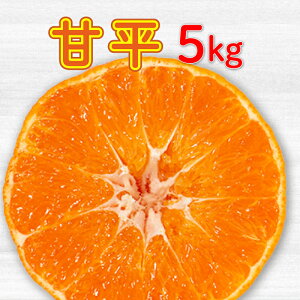 yӂ邳Ɣ[Łzyʌz s\ Õ5kg i ƒp ݂  Õ |J  g܂ǂ Ƃ lC uh k ʕ t[c Mtg 蕨 v[g  Y