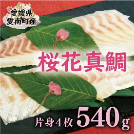 【 ふるさと納税 】桜花 真鯛 切り身 4柵 合計 540g （ 270g ×2 パック ） 朝〆 まだい 鯛 愛南町 新鮮 冷凍 愛媛県 神経締め 皮引き 三枚おろし 国産 魚介 特産品 魚介類 海産物 産地直送 海鮮 ブランド 刺身 海鮮丼 塩焼き 煮付け 酒蒸し カルパッチョ 鯛しゃぶ 鯛めし