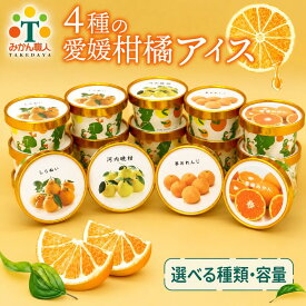 【ふるさと納税】 選べる種類・容量 4種の愛媛柑橘カップアイス 食べ比べ 容量 12個 14個 16個 24個 各65ml ( 夢オレンジ 河内晩柑 愛媛みかん 不知火 ) シャーベット ジェラート カップアイス アイスクリーム みかん職人武田屋 愛媛県 愛南町