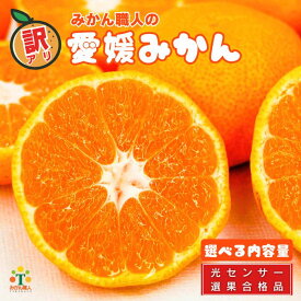 【ふるさと納税】 高評価★4.4 訳あり愛媛みかん 選べる内容量 1kg 3kg 5kg 2kg×2箱 ( 傷み保証 300g ) 光センサー選果 柑橘 果物 フルーツ 不揃い 傷 みかん ミカン 蜜柑 果実 温州みかん みかん職人武田屋 愛媛県 愛南町