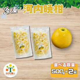 【ふるさと納税】 冷凍 河内晩柑 500g/1kg ( 果物 くだもの フルーツ 愛南ゴールド 和製グレープフルーツ おやつ 柑橘 かんきつ 冷凍 冷凍柑橘 冷凍みかん 夏 アイス スムージー シャーベット みかん職人武田屋 愛媛県 愛南町)
