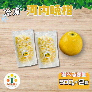 yӂ邳Ɣ[Łz Ⓚ͓ӊ 500g/1kg k ʕ ͓ӊ  t[c S[h aO[vt[c  k 񂫂 Ⓚ Ⓚk Ⓚ݂  ACX X[W[ V