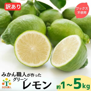 yӂ邳Ɣ[Łz Iׂ 󂠂 i O[ j 1kg 3kg 5kg y:2025N8{`ȂȂ莟Iẑ _  k EG ʕ  ʎ t[c L Q