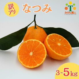 【ふるさと納税】 訳あり なつみ 3kg/5kg 柑橘 果物 国産 フルーツ 有名 愛媛 みかん 職人 武田屋 ふるさと納税みかん ブランド オレンジ 大小 ミックス サイズ 愛媛県産 果実 ビタミン 美味しい 生産者 直送 産直 発送期間：2026年4月中旬〜なくなり次第終了