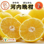  訳あり 河内晩柑 7kg 晩柑 柑橘 和製 グレープフルーツ 国産 愛媛 果物 フルーツ 特産品 みかん職人武田屋 おいしい ビタミン 傷 家庭用 発送期間：3月下旬～8月末 (なくなり次第終了)