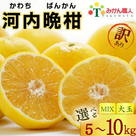 【ふるさと納税】 訳あり 河内晩柑 5kg 10kg 訳あり 先行予約 サイズミックス 大玉 晩柑 かわちばんかん 柑橘 和製 グレープフルーツ 国産 愛媛 みかん 果物 果実 フルーツ 特産品 有名 みかん 職人 武田屋 おいしい ビタミン 傷あり 家庭用 2026年発送