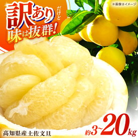 【ふるさと納税】【先行予約】高評価★4.88 高知県産 訳あり 土佐文旦 約 3kg 5kg 10kg 20kg 〈2026年2月〜発送〉 【四国健商】[ATAF038] ＼選べる容量／ 大容量 旬 文旦 みかん 柑橘 ぶんたん ブンタン 果物 フルーツ 訳あり 訳アリ わけあり ワケアリ 理由あり 先行予約