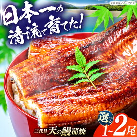 【ふるさと納税】【選べる内容量】【お歳暮対象】土佐料理司 三代目天の 鰻 蒲焼 1尾・2尾 (高知市春野町産) 【株式会社土佐料理司】[ATAD019] レンチン 蒲焼き かば焼き うなぎ ウナギ 小分け 個包装 パック 冷凍 国産 レンジ おかず 簡単調理 調理済 贈答