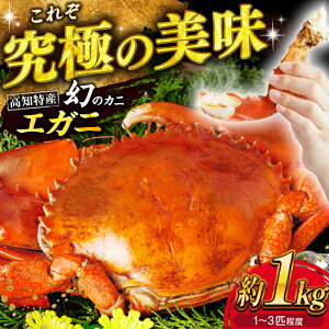 yӂ邳Ɣ[ŁzY˘pY GK 1LO yy̜Aہz[ATAL001]