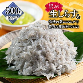 【ふるさと納税】訳あり 高知 生 しらす 500g ( 100g × 5セット ) | どろめ 魚 海の幸 魚介類 海鮮丼 料理 調理 夕食 お取り寄せ グルメ わけあり 人気 おすすめ 高知県 高知市 【北海道・沖縄・離島 配送不可】