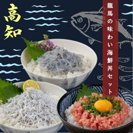 【ふるさと納税】龍馬の味わい海鮮丼セット