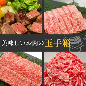 【ふるさと納税】高知から美味しいお肉の玉手箱!化粧箱入り　約840g