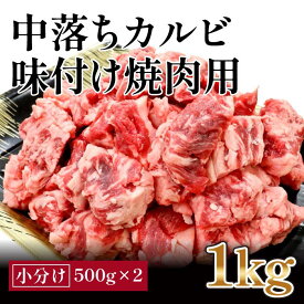 【ふるさと納税】中落カルビ　味付け焼肉用　約500g×2