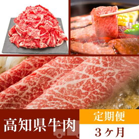【ふるさと納税】お肉の定期便　高知県牛肉祭り　(3か月)