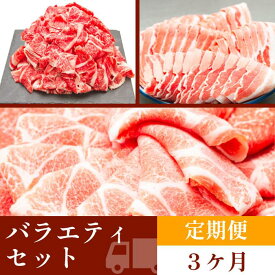 【ふるさと納税】お肉の定期便　バラエティセット　(3か月)　お肉合計　9kg