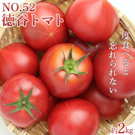 【ふるさと納税】特選徳谷トマト約2kg　生産者52番　フルーツトマト | tomato 野菜 期間限定 お取り寄せ グルメ 人気 おすすめ 高級 高知県 高知市