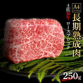 【ふるさと納税】エイジング工法　熟成肉　土佐和牛　特選ロース　ブロック　約250g（冷凍） | 肉 お肉 にく 食品 高知産 人気 おすすめ ギフト