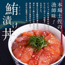 【ふるさと納税】高知の海鮮丼の素「マグロの漬け」約80g×5パック | 加工食品 魚 お魚 さかな 食品 人気 おすすめ