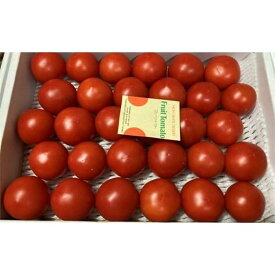 【ふるさと納税】高知県高知市産 果物トマト フルーツルビー 約2kg | 野菜 やさい 食品 人気 おすすめ 送料無料