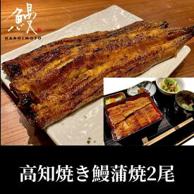 【ふるさと納税】高知焼き鰻蒲焼2尾 | 鰻 魚介類 水産 食品 人気 おすすめ