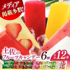 【ふるさと納税】土佐のフルーツキャンデーセット アイス ギフト セット/ 久保田食品 安心 高知 アイス アイスキャンディー 土佐 詰め合わせ アイスセット やまもも ぶしゅかん すもも 柚子 ゆず ユズ 12本 バラエティ フルーツ 【グレイジア株式会社】[ATAC210]