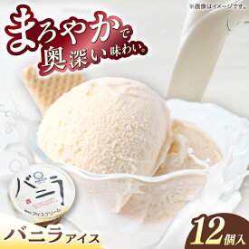 【ふるさと納税】バニラアイスクリーム 12個入 アイス 添加物不使用 | 久保田食品【グレイジア株式会社】[ATAC216]