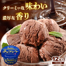 【ふるさと納税】チョコレートアイスクリーム 12個入 アイス | 久保田食品【グレイジア株式会社】[ATAC217]