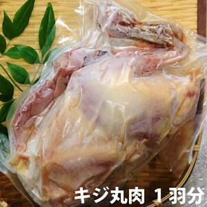 yӂ邳Ɣ[ŁzLWۓ 1H (1.0kg) Ⓚ   WrG 䂷͂ mY yOCWAЁz[ATAC358]