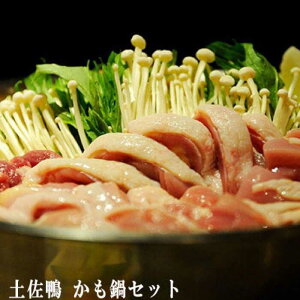 yӂ邳Ɣ[Łzy Zbg y yW[猤 yOCWAЁz[ATAC585]