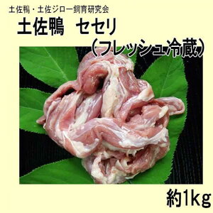 yӂ邳Ɣ[Łzy ZZ (tbV①) 1kg y yW[猤 yOCWAЁz[ATAC588]