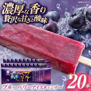 yӂ邳Ɣ[ŁzvۓcHi u[x[ACXLf[ 20{ Ysgp / ACX ACXLf[ ACXN[ Ⓚ u[x[ x[ ʕ t[c Zbg fU[g XC