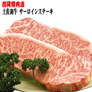 yӂ邳Ɣ[ŁzyaT[CXe[L (250g×2) yOCWAЁz[ATAC015]