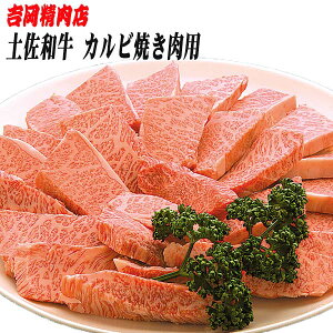 yӂ邳Ɣ[ŁzyaJr (ēp) 500g yOCWAЁz[ATAC023]