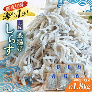 yӂ邳Ɣ[Łzg炷 1.8kg (300g×6) lŏuɊo m̂炷 yOCWAЁz[ATAC081] 炷 VX ` 炷 VN VX W WŃ` ȒP