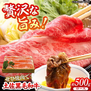 yӂ邳Ɣ[Łzyјa [X Ăp 500g yLЁ@z[ATAE005]