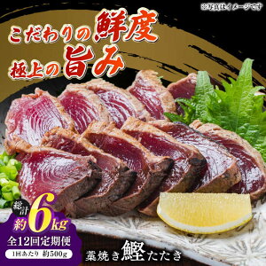 yӂ邳Ɣ[Łzy12ցz_Y mĂ (JcI)  2 (500g) Zbg v6kg y lz[ATAF136]