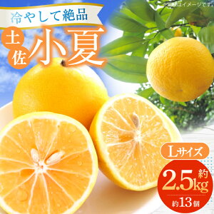 yӂ邳Ɣ[Łzys\zyĖ2.5kg 13O LTCYq2026N4{`2026N7{r/ m  Ric Ȃ ʕ k t[cyt[cVbvIULz [ATAH002]