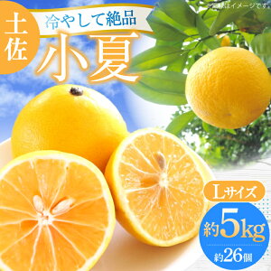 yӂ邳Ɣ[Łzys\zy LTCY 5kg 26Oq2026N4{`2026N7{r/ m  Ric Ȃ ʕ k t[cyt[cVbvIULz [ATAH004]