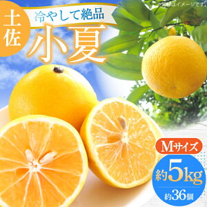 yӂ邳Ɣ[Łzys\zy MTCY 5kg 36Oq2026N4{`2026N7{r/ m  Ric Ȃ ʕ k t[c yt[cVbvIULz [ATAH005]