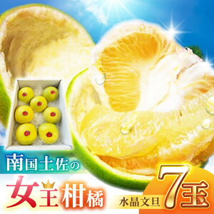 yӂ邳Ɣ[Łz썑y̏k U 3kg 7ʓq2025N9{`2025N12{r/ U Ԃ񂽂 t[c ʕ 3L m yt[cVbvIULz[ATAH006]