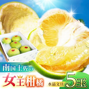 yӂ邳Ɣ[Łz썑y̏k U 3kg 5ʓq2025N9{`2025N12{r/ U Ԃ񂽂 t[c ʕ 3L m yt[cVbvIULz[ATAH008]