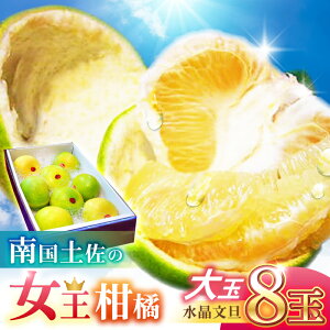 yӂ邳Ɣ[Łz썑y̏k U 5kg 8ʓ ʃTCYq2025N9{`2025N12{r/ U Ԃ񂽂 t[c ʕ 5L m yt[cVbvIULz[ATAH0