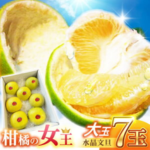 yӂ邳Ɣ[Łz썑y̏k U 5kg 7ʓ ʃTCYq2025N9{`2025N12{r/ Ԃ񂽂 U t[c m ʕ yt[cVbvIULz[ATAH010]