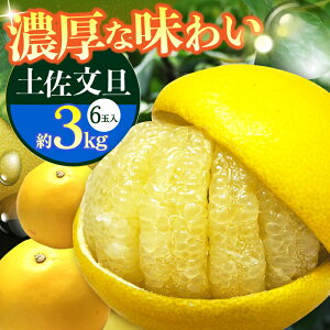 yӂ邳Ɣ[Łzys\z썑myU 3kg 6ʁq2025N11{`2026N2{r/ U Ԃ񂽂 t[c ʕ 3L m yt[cVbvIULz[ATAH012]