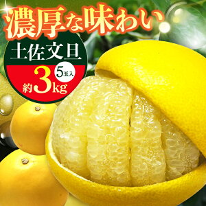 yӂ邳Ɣ[Łzys\z썑myU 3kg 5ʁq2025N11{`2026N2{r/ U Ԃ񂽂 t[c ʕ 3L m yt[cVbvIULz[ATAH013]