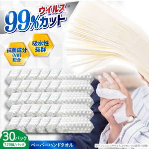 yӂ邳Ɣ[ŁzRECX Rې (VB) zӂ_炩y[p[nh^I G{Xdグ 120g (240) ×30pbN RۃV[g R ECX΍ q Y y͖쐻Ёz[A