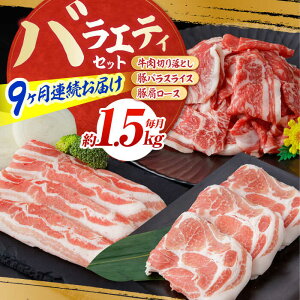 yӂ邳Ɣ[Łzy9ցz̒ oGeBZbg (9) v13.5kg Y  ؂藎Ƃ ؓ o XCX y(L)RdHz[ATAP117]