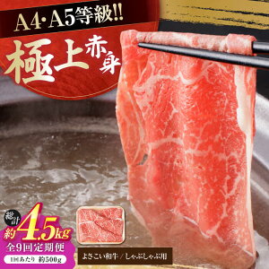 yӂ邳Ɣ[Łzy9ցzmY 悳a Ԑg Ԃԗp 500g v4.5kg  ₫ Y  A4 A5 ؂ XCX y(L)RdHz[ATAP121]