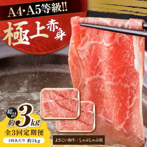 yӂ邳Ɣ[Łzy3ցzmY 悳a Ԑg Ԃԗp 500g×2 v3kg  ₫ Y  A4 A5 ؂ XCX y(L)RdHz[ATAP123]