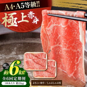 yӂ邳Ɣ[Łzy6ցzmY 悳a Ԑg Ԃԗp 500g×2 v6kg  ₫ Y  A4 A5 ؂ XCX y(L)RdHz[ATAP124]